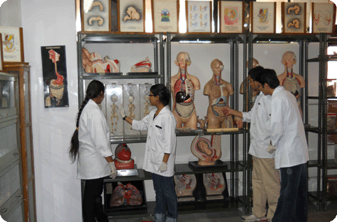 Anatomy-Department
